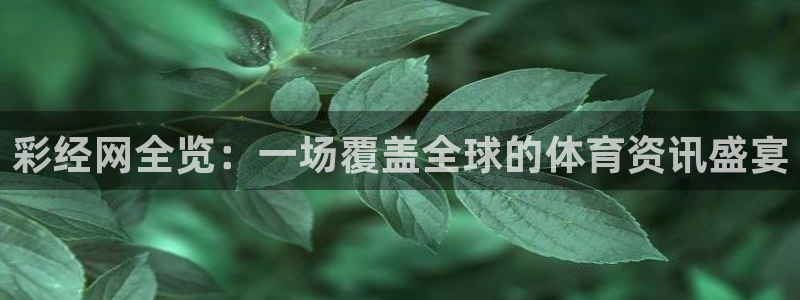 彩经网全览：一场覆盖全球的体育资讯盛宴