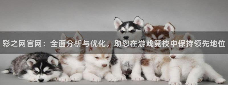 k8凯发平台官网：彩之网官网：全面分析与优化，助您在游戏竞技中保持领先地位