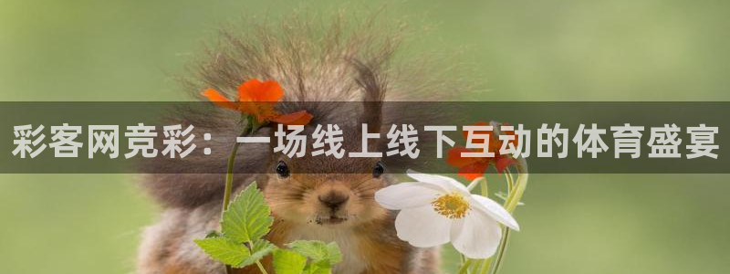 k8凯发平台招商：彩客网竞彩：一场线上线下互动的体育盛宴