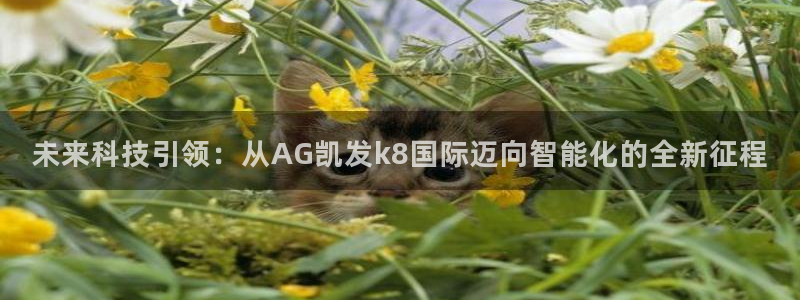 k8凯发5招商：未来科技引领：从AG凯发k8国际迈向智能化的全新征程