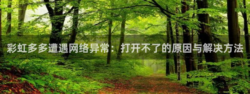 k8凯发注册：彩虹多多遭遇网络异常：打开不了的原因与解决方法