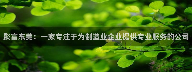 k8凯发3平台注册：聚富东莞：一家专注于为制造业企业提供专业服务的公司