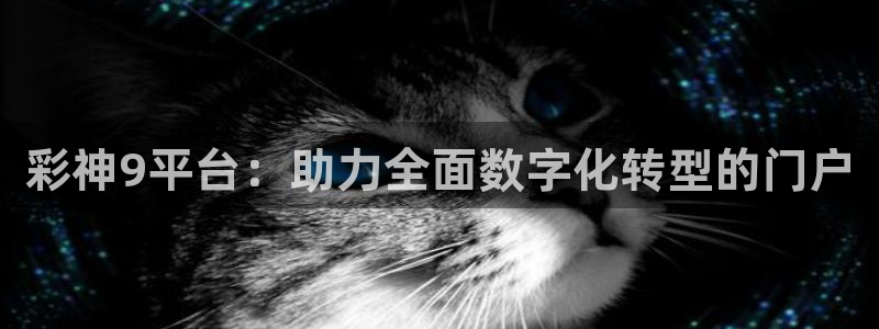 k8凯发体育1招商：彩神9平台：助力全面数字化转型的门户