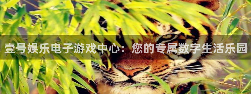 k8凯发体育3：壹号娱乐电子游戏中心：您的专属数字生活乐园