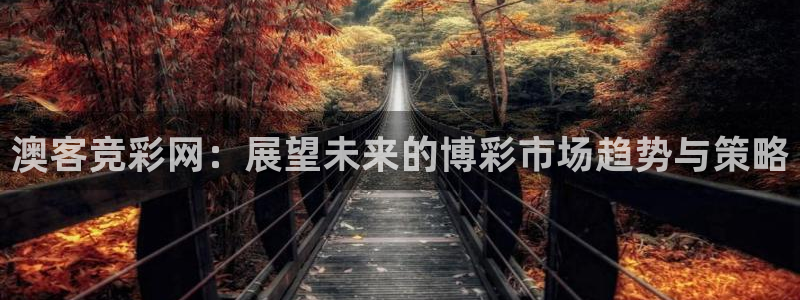 k8凯发2注册：澳客竞彩网：展望未来的博彩市场趋势与策略
