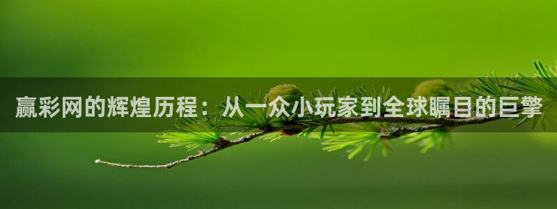 k8凯发2体育：赢彩网的辉煌历程：从一众小玩家到全球瞩目的巨擎