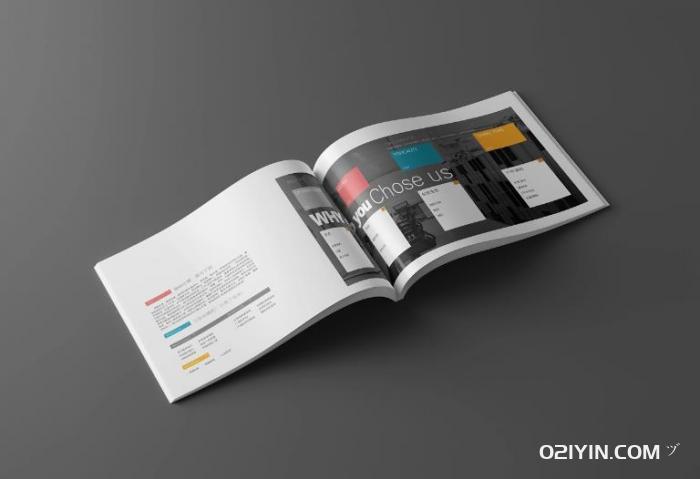 藝術(shù)畫(huà)冊(cè)印刷  第3張