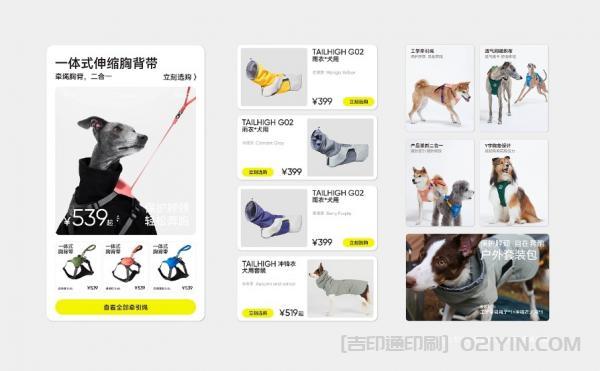 寵物品牌形象VI設計印刷 第6張 寵物品牌形象VI設計印刷 第6張