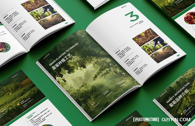 上海企業(yè)畫(huà)冊(cè)印刷專(zhuān)家：從設(shè)計(jì)到成品，一站式品質(zhì)服務(wù)