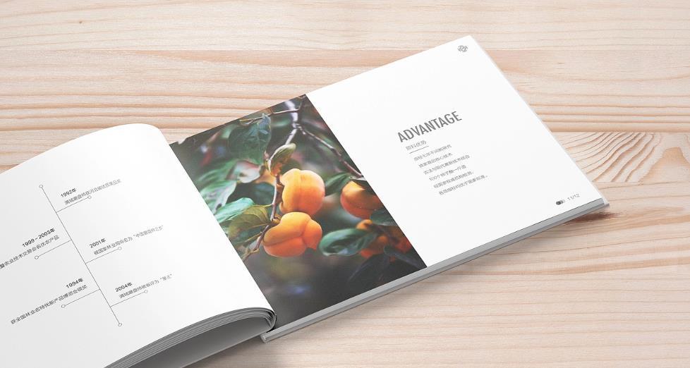 上海黃浦區畫冊印刷的設計需求有哪些？